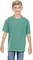 Comfort Colors® Garment Dyed Youth Heavyweight Crewneck Short Sleeve T-Shirt
